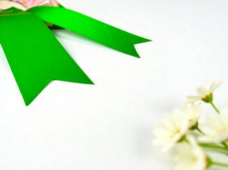 Hobby Horse rosette - Daisy - 3