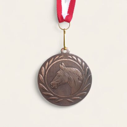 Bronze equestrian medal