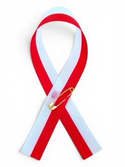 Polish national rosette with safety pin - 2