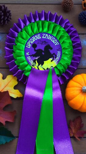 Kotylion podwójny #3 - fioletowy / jasny zielony