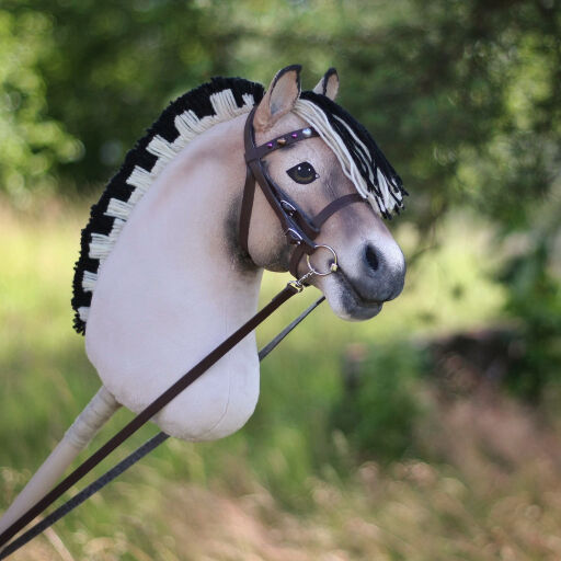 Where Did Hobby Horse Come From?