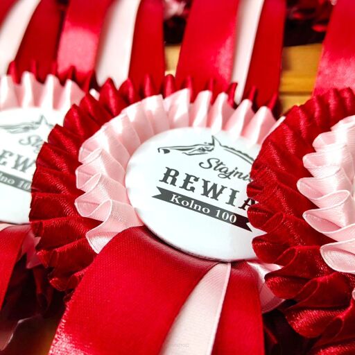 How to design a rosette for Your equestrian club
