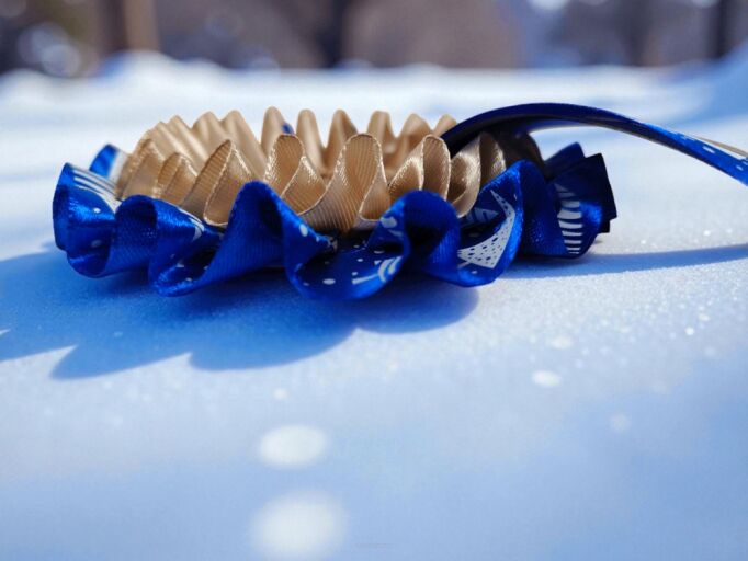 Christmas Rosettes – An Elegant Touch for Winter Equestrian Competitions and Camps