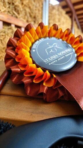 A Complete Guide to Choosing Ribbons and Rosettes for Competitions for Event Organizers