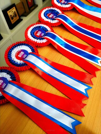 Ribbons for Animal Shows – Awards for Dogs, Cats, and Pigeons