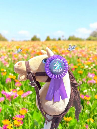 Hobby Horse Awards – Why Rosettes Are the Best Choice for Hobby Horse Competitions?